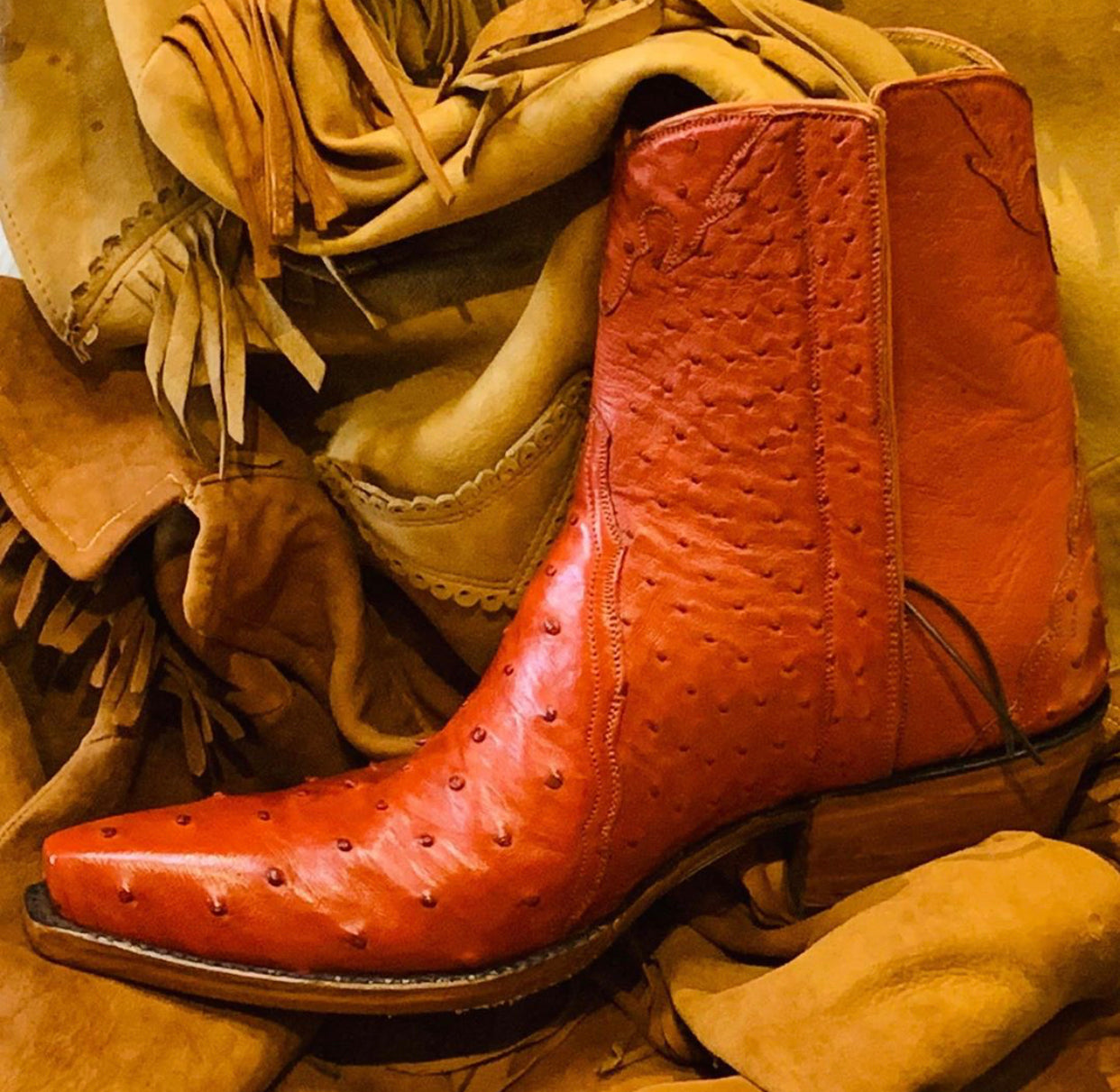 Ostrich Ankle Zipper Gerbera – Back at the Ranch