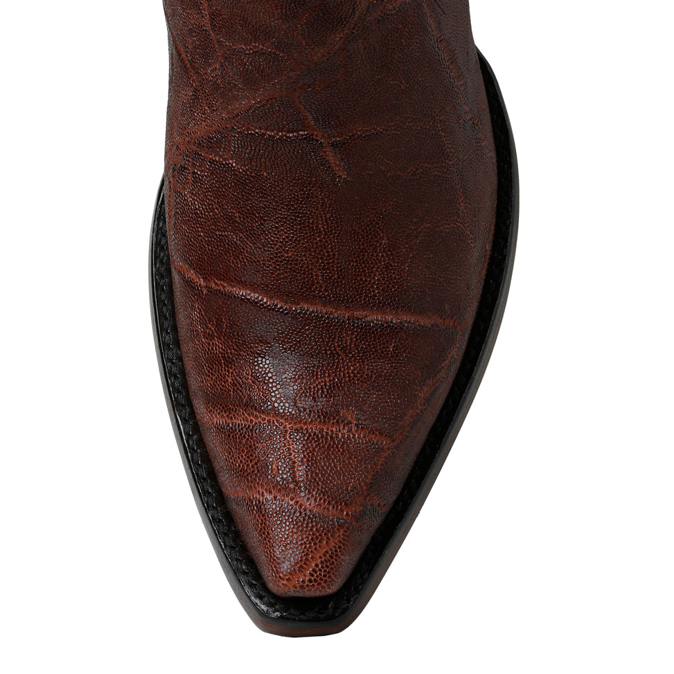 Elephant 12" - Cigar