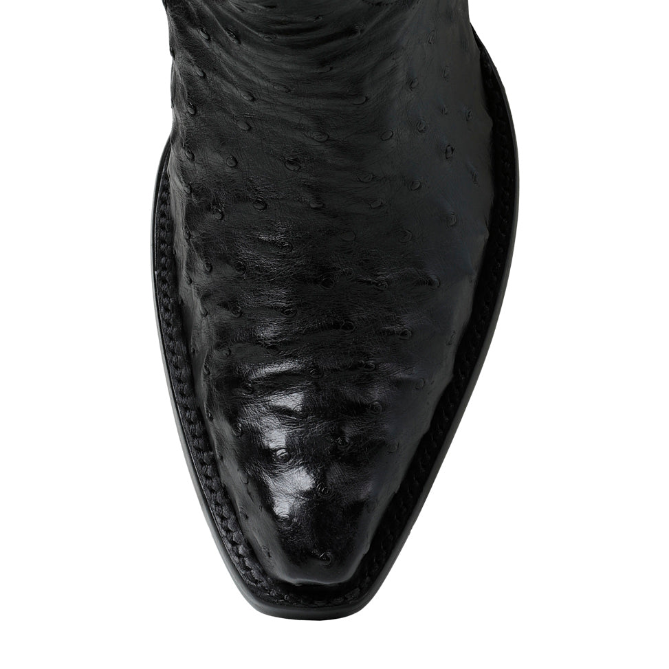Ostrich Full Quill 14" - Black - Back at the Ranch