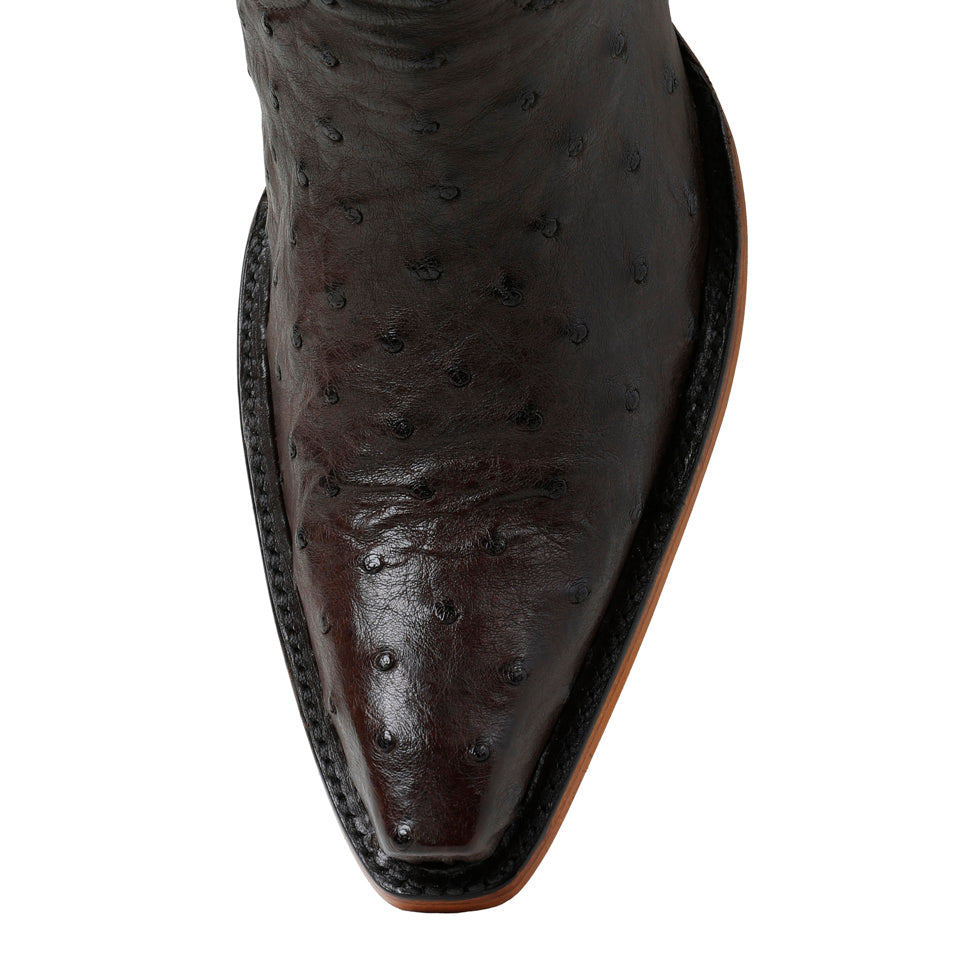 Ostrich Full Quill 14" - Nicotine - Back at the Ranch