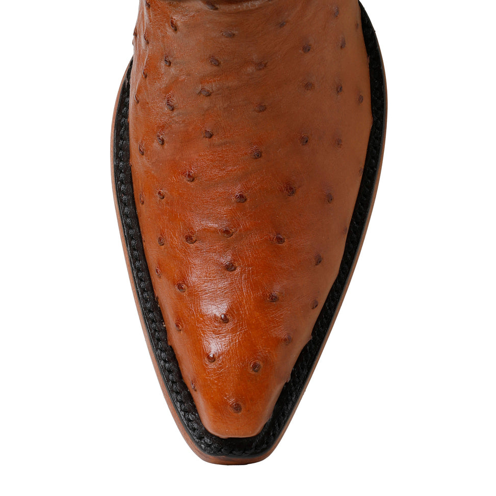 Ostrich Full Quill 14" - Brandy