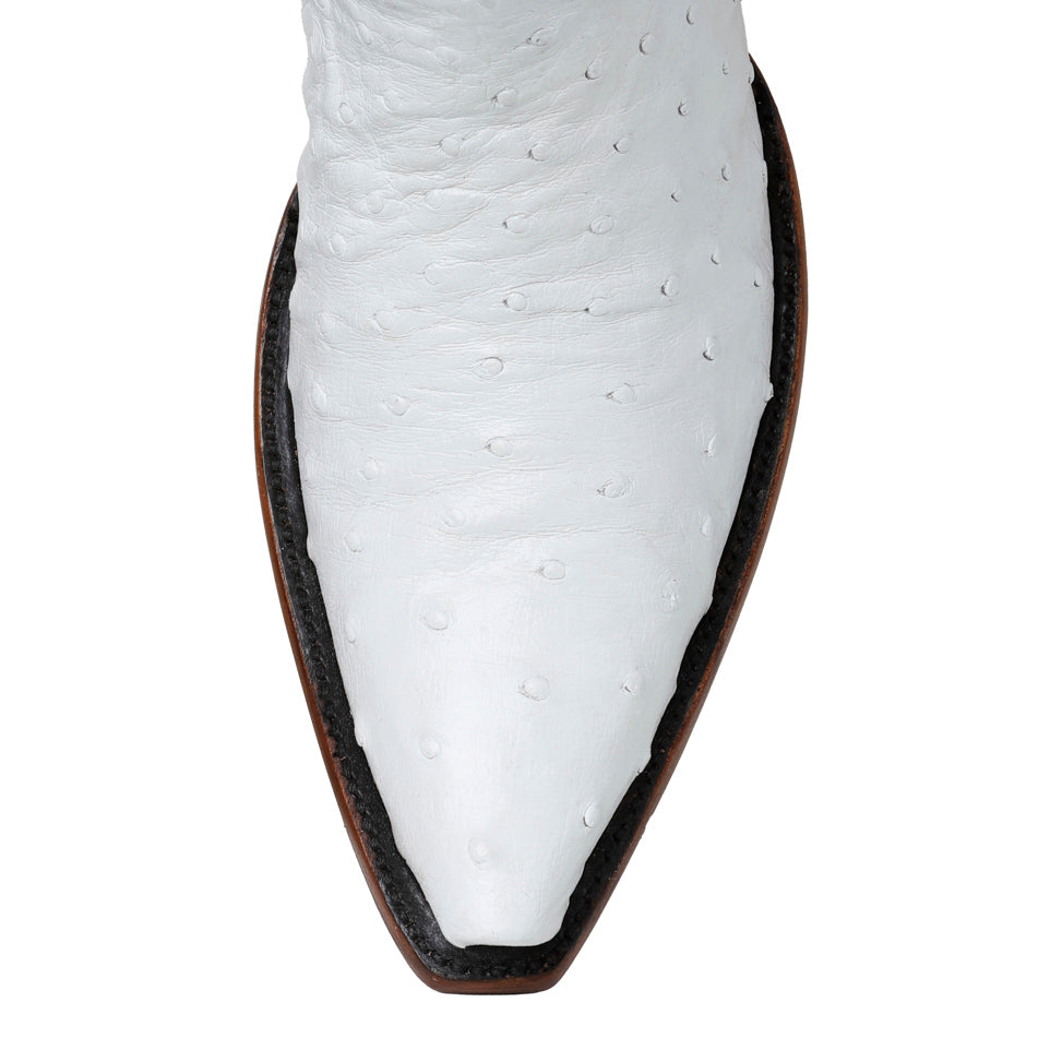 Ostrich Full Quill 14" - White - Back at the Ranch