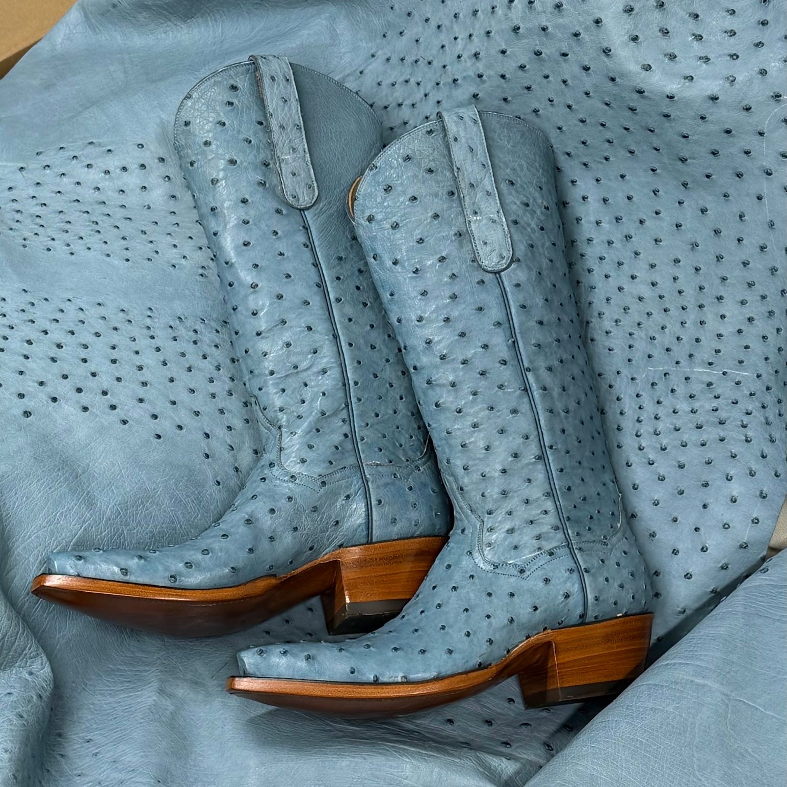 Ostrich Full Quill 14" - Sky Blue - Back at the Ranch