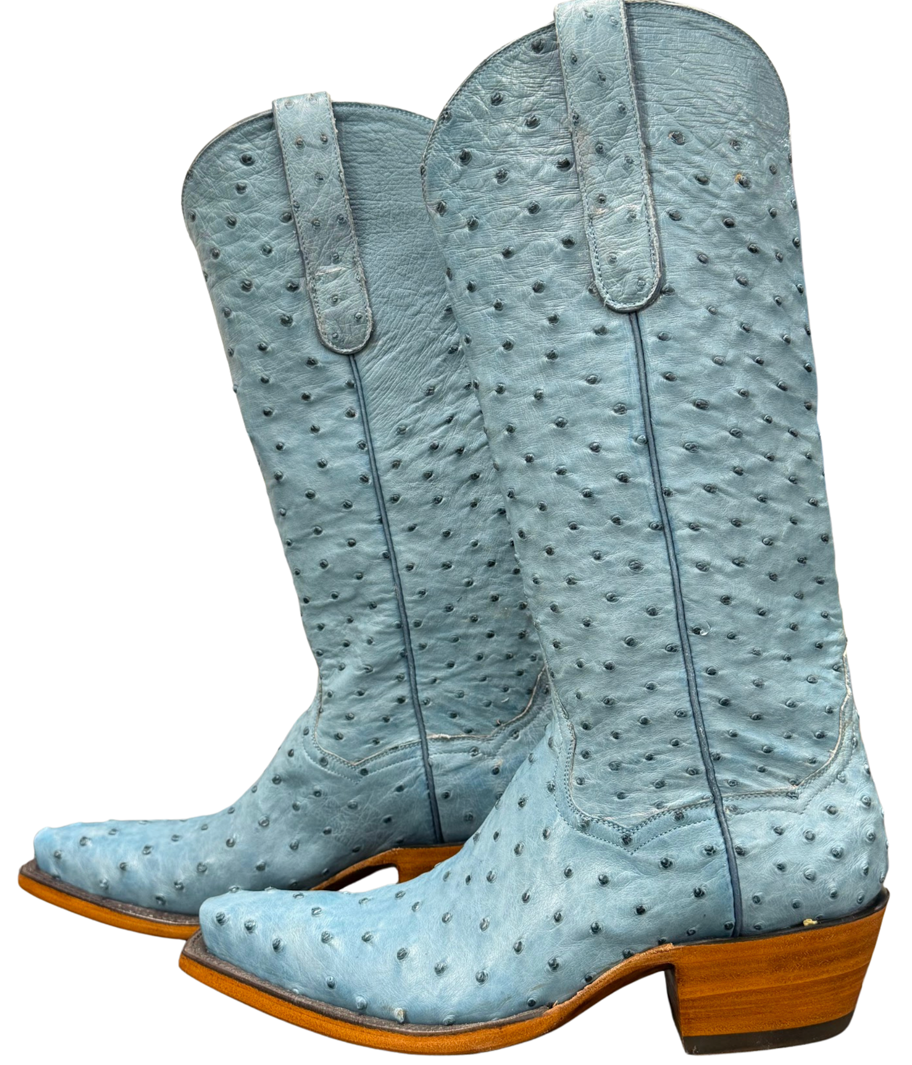 Ostrich Full Quill 14" - Sky Blue - Back at the Ranch
