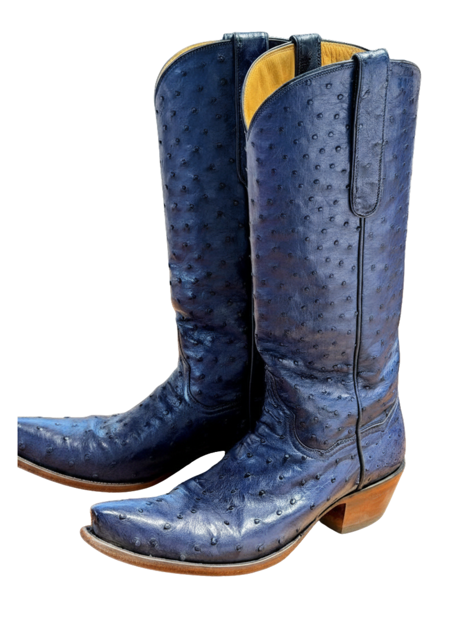Ostrich Full Quill 14" - Iris Navy
