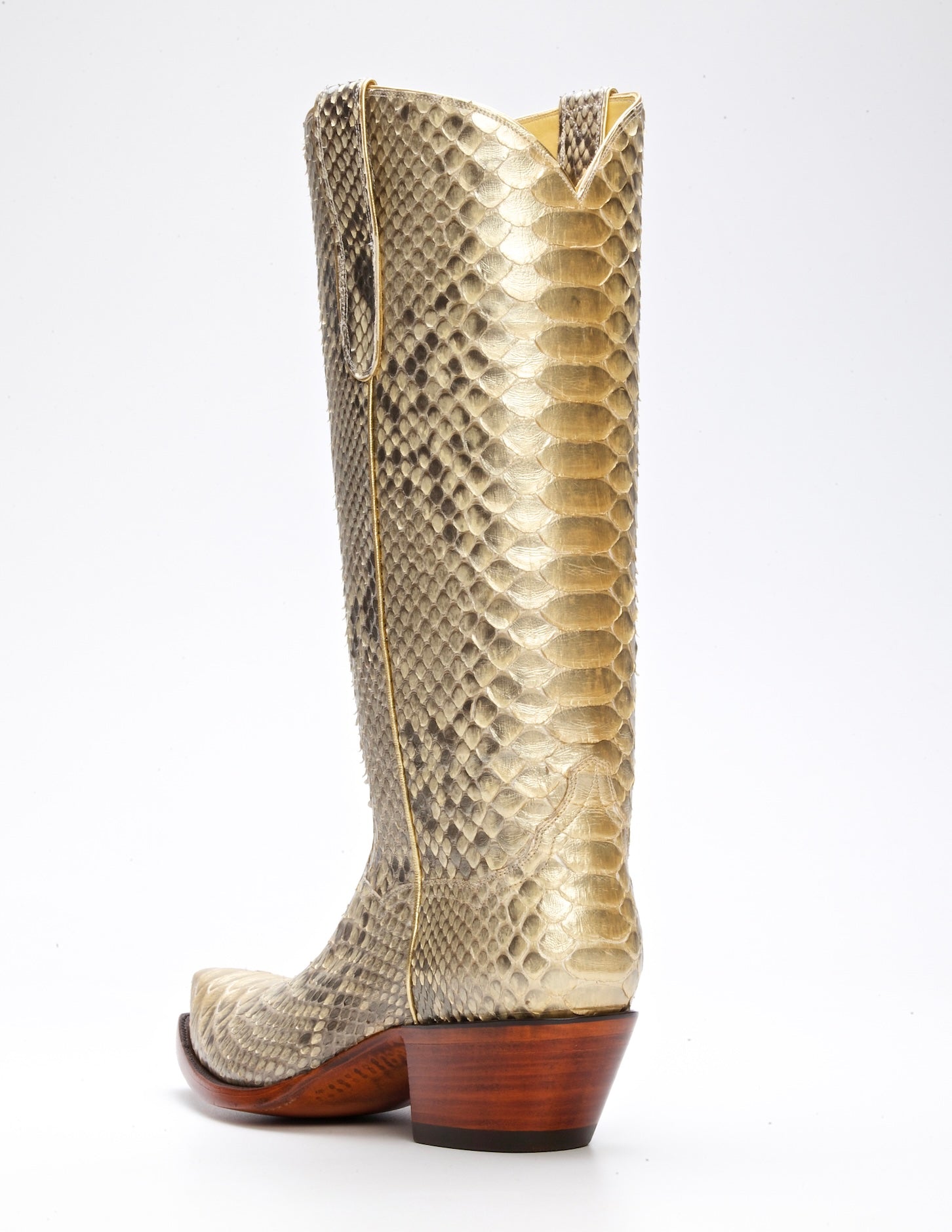 Full Python 14" - Gold - Back at the Ranch