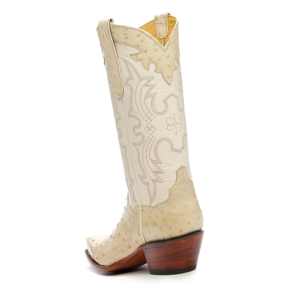 Ostrich 12" - Winter White - Back at the Ranch