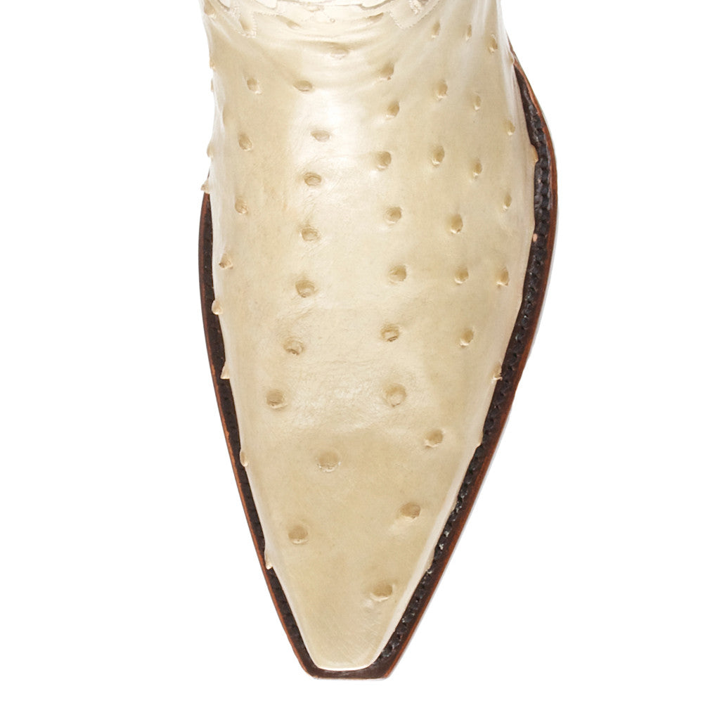 Ostrich 12" - Winter White - Back at the Ranch