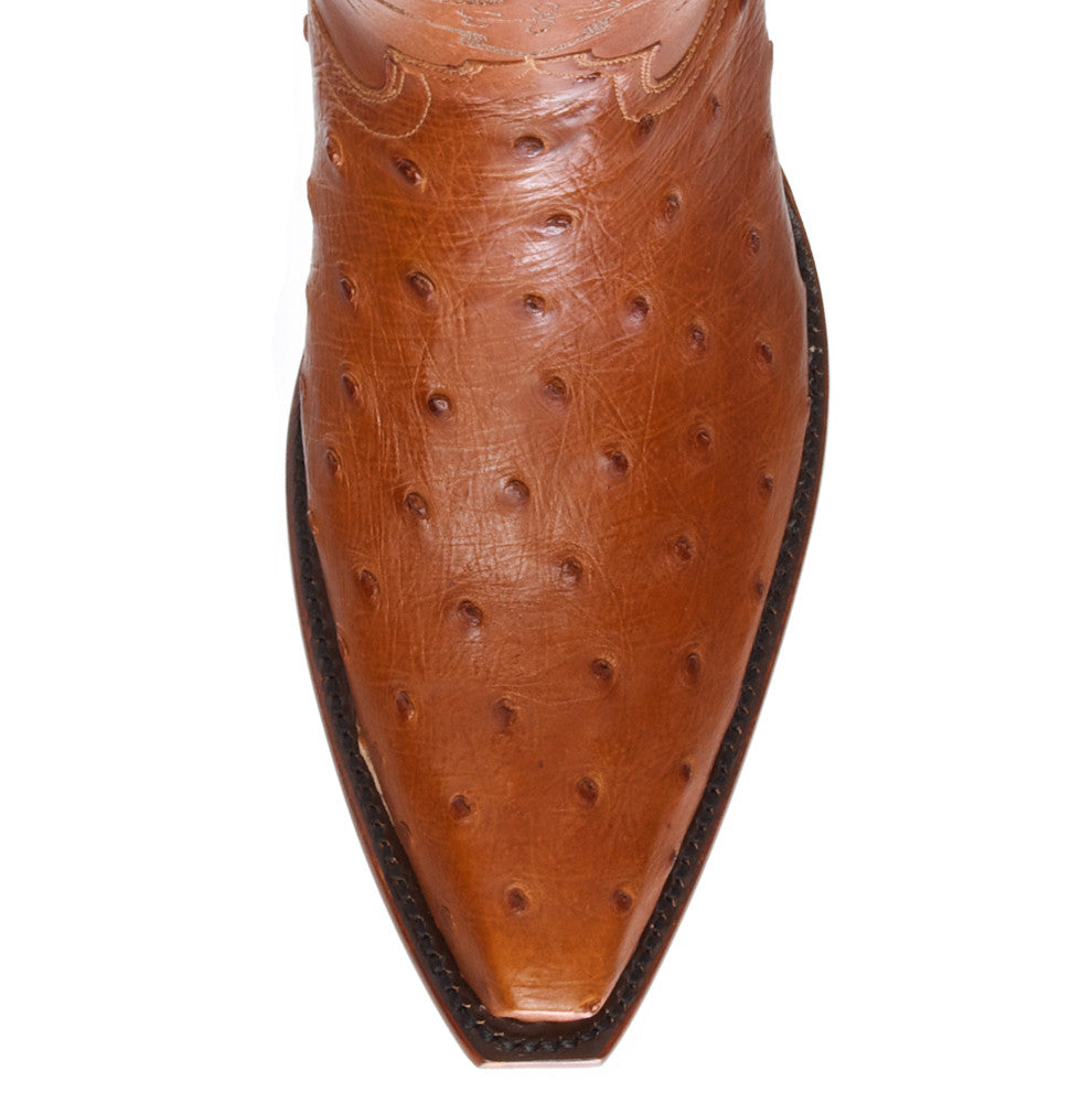 Ostrich 12" - Almond - Back at the Ranch