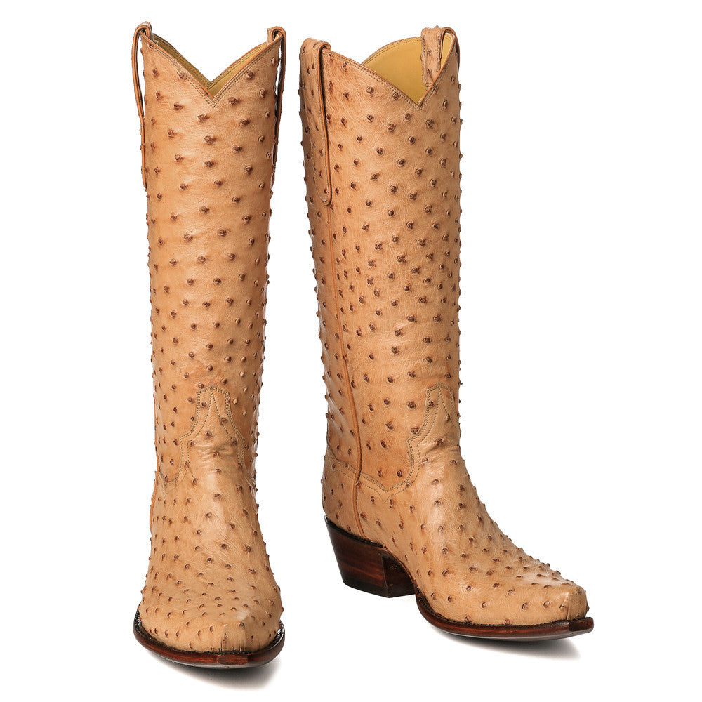 Ostrich Full 14" - Back at the Ranch