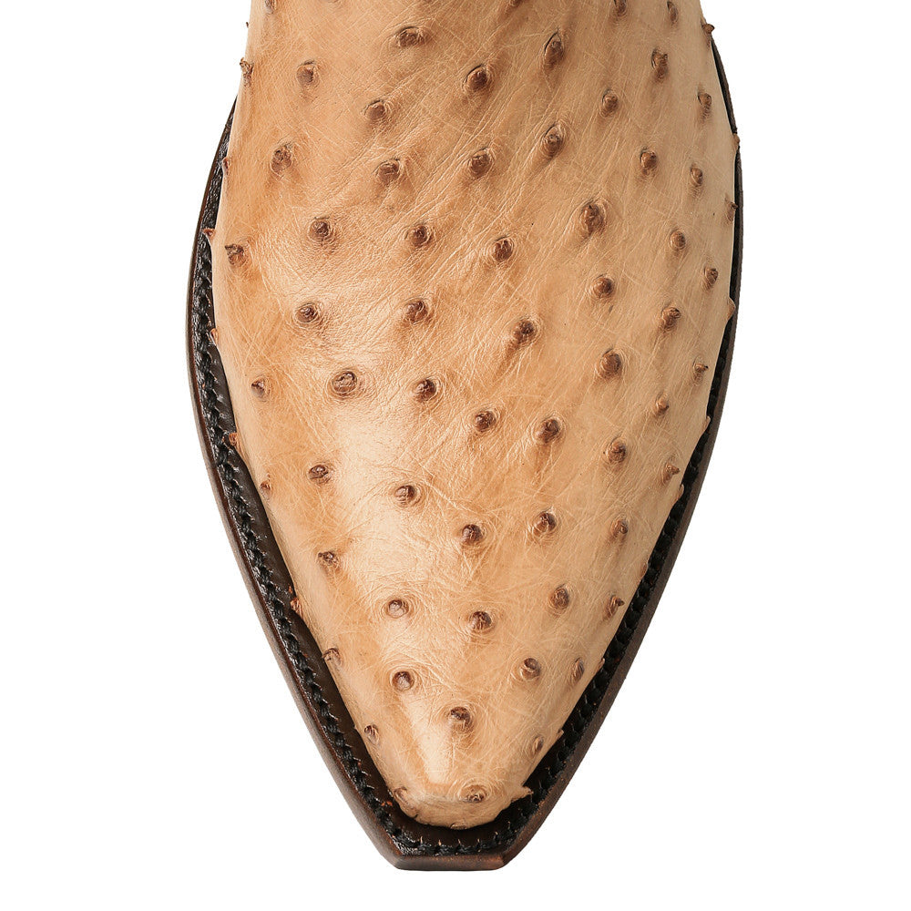 Ostrich Full 14" - Back at the Ranch