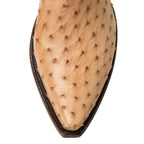 Ostrich Full 14" - Back at the Ranch