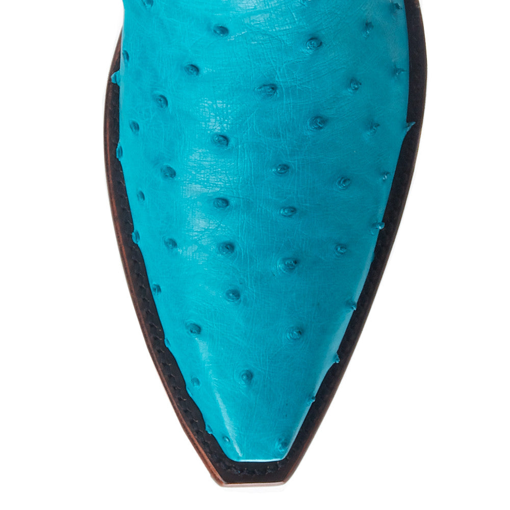 Ostrich 12" - Back at the Ranch