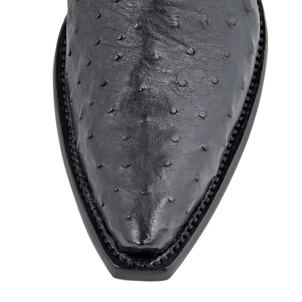 Ostrich Ankle Zipper - Black - Back at the Ranch