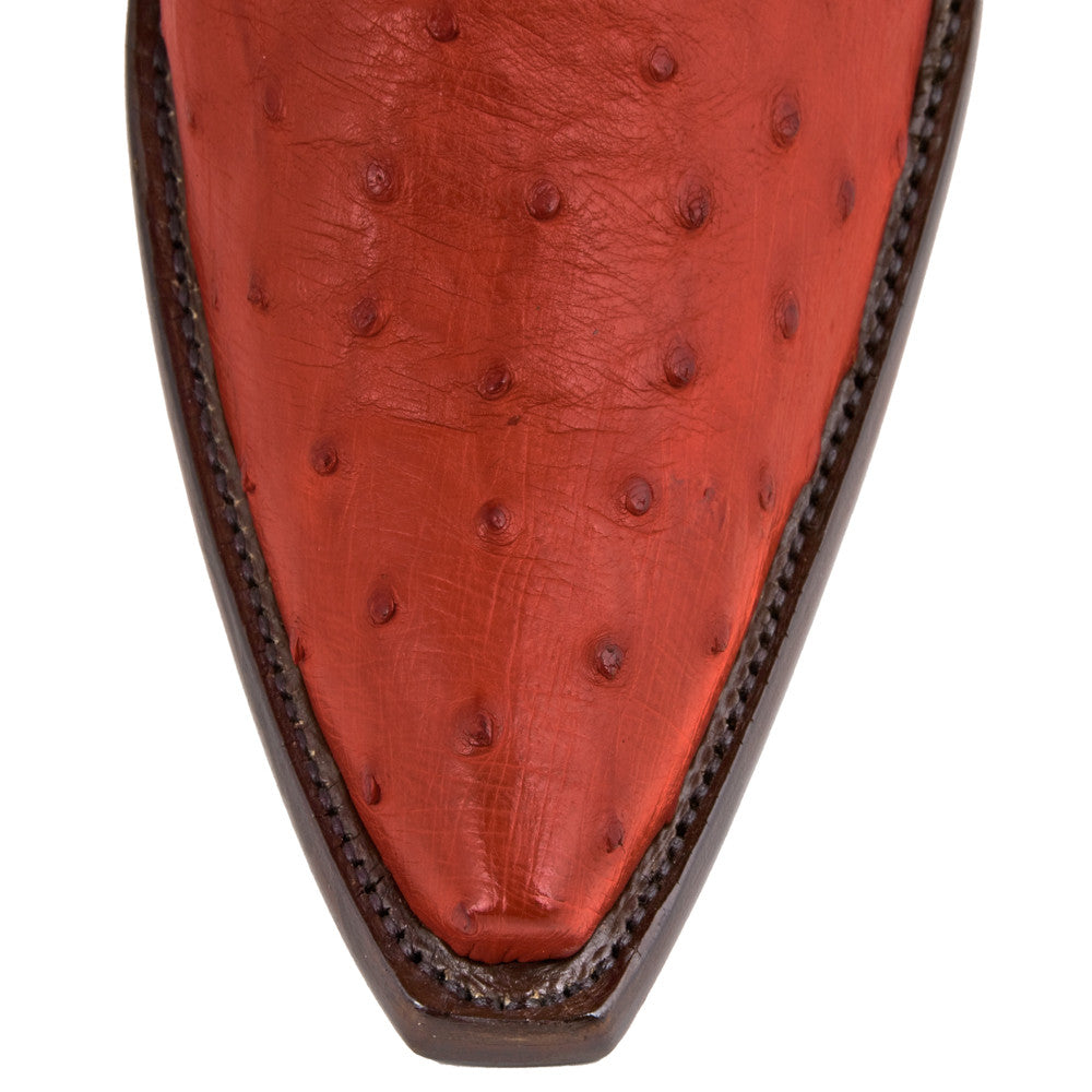 Ostrich Ankle Zipper - Gerbera - Back at the Ranch