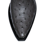 Ostrich 12" - Anthracite - Back at the Ranch
