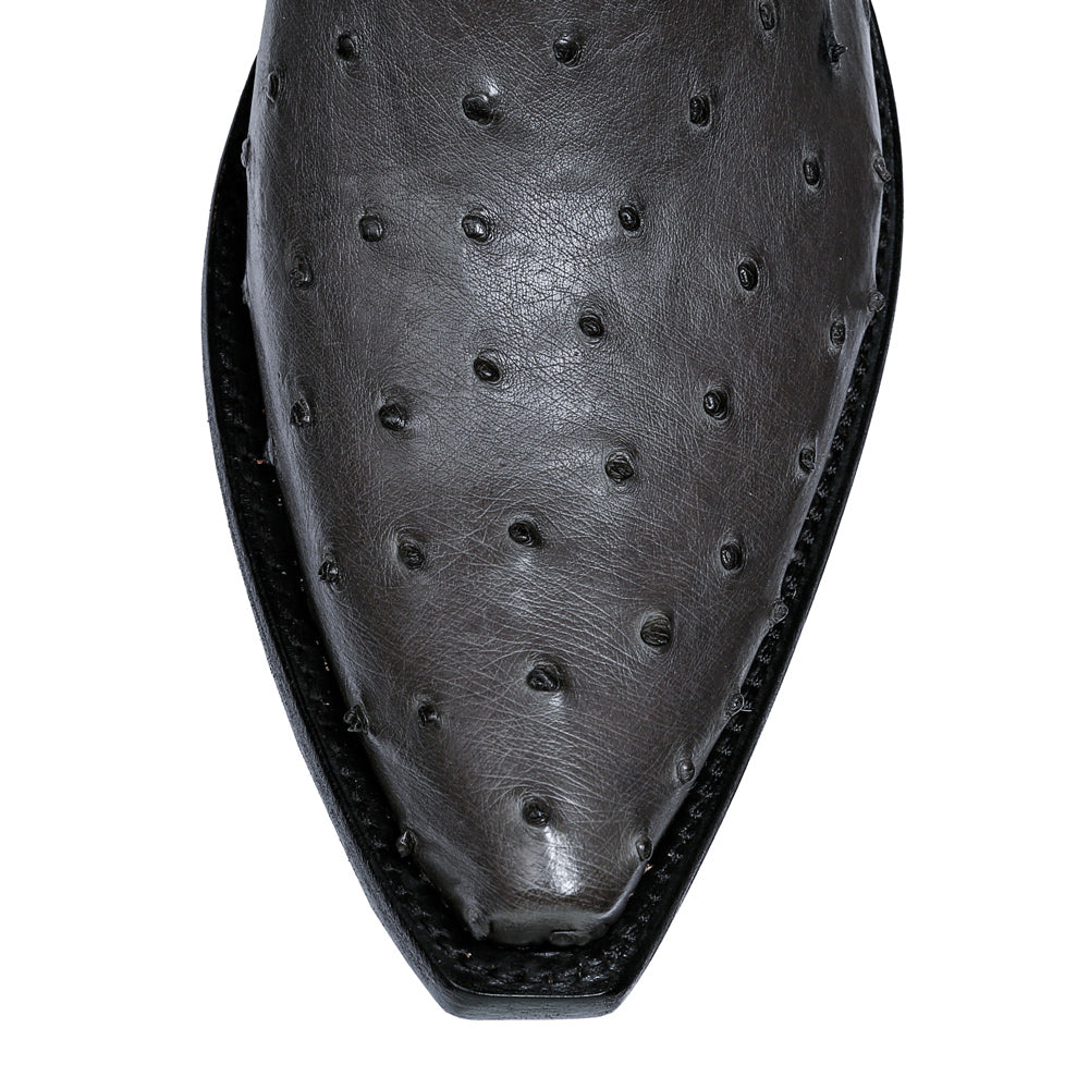 Ostrich 12" - Anthracite - Back at the Ranch