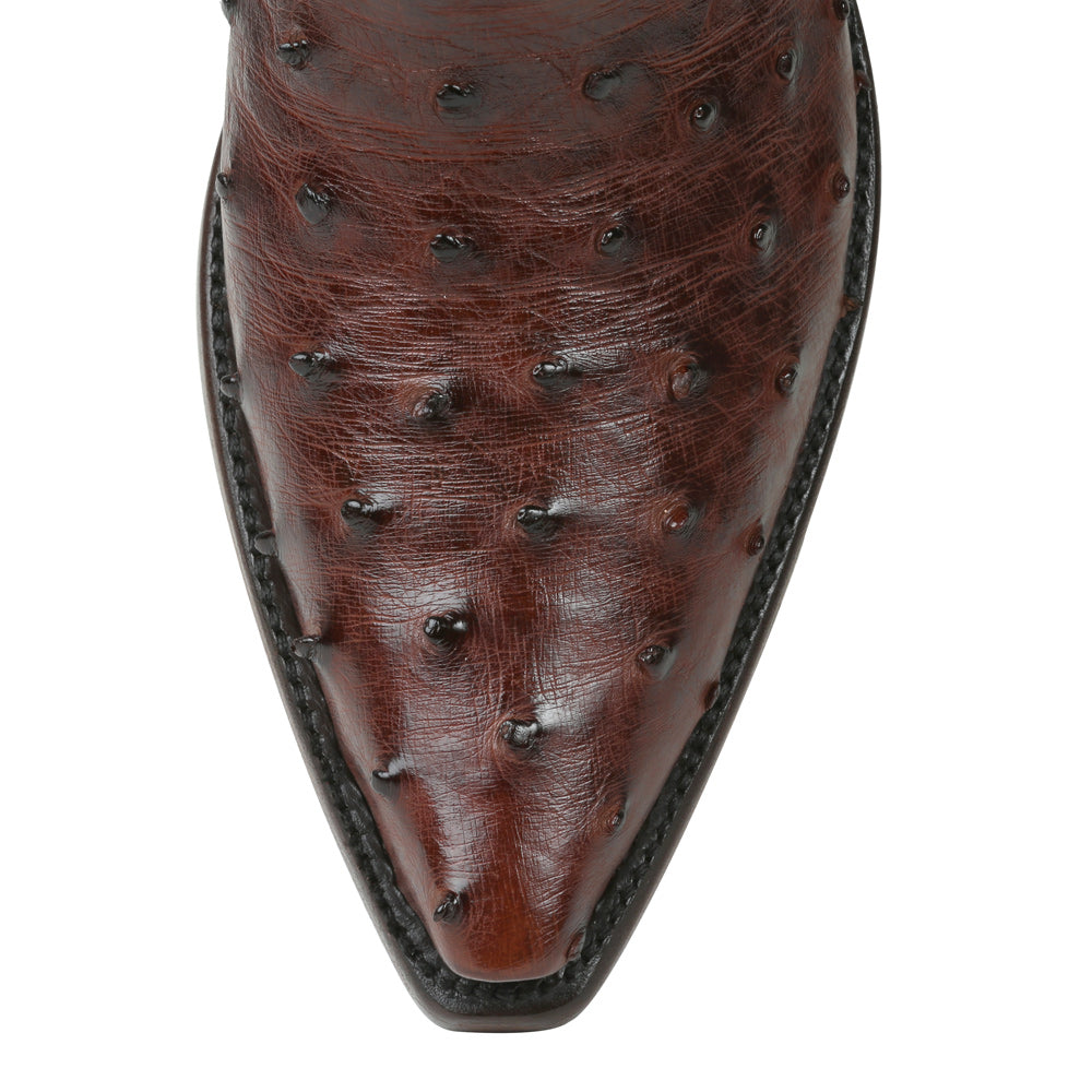 Ostrich El Rancho 12" - Nicotine - Back at the Ranch